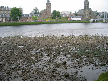 20009