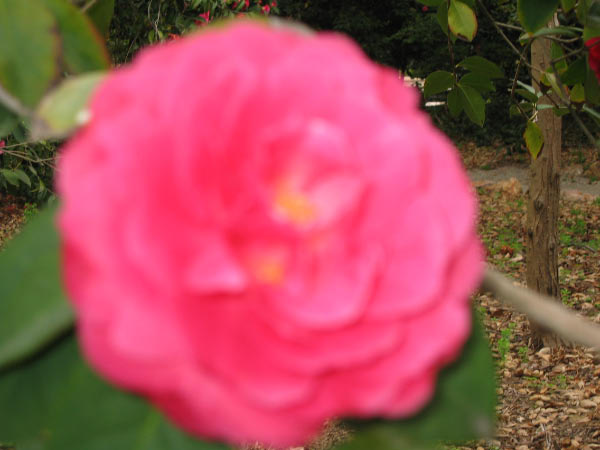 IMG_3831