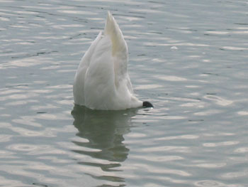 0544